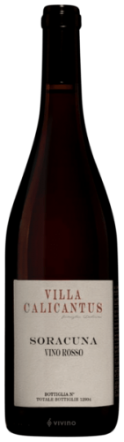 'SORACUNA' BARDOLINO CLASSICO DOC 2023 750 ML