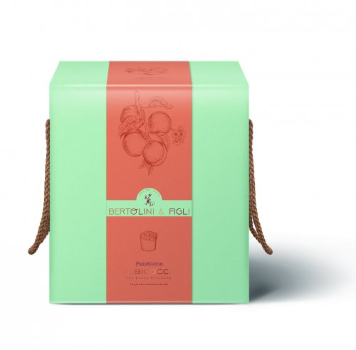 PANETTONE ALL' ALBICOCCA 1 KG