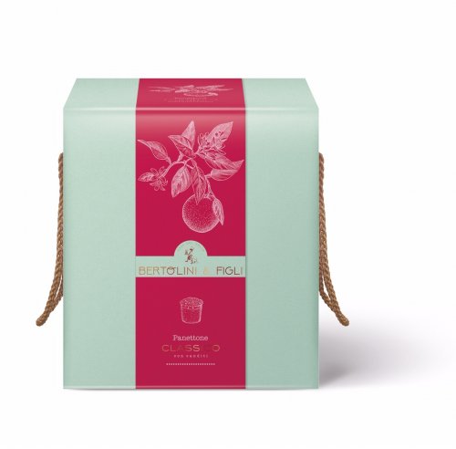 PANETTONE CLASSICO 1 KG