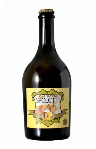 BIRRA HOME BREWING GOLDEN ALE 750 ML