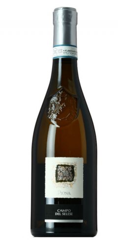 CUSTOZA DOC SUPERIORE CAMPO DEL SELESE 2012 750 ML