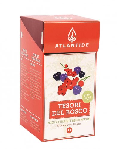 INFUSO TESORI DEL BOSCO 12 FILTRI